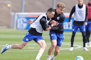 Schalke: Trainigsauftakt am 22. Juni im Parkstadion