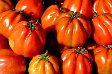 Tomaten enthalten zum einen Kalium, das entwässernd wirkt und somit die Gewichtsabnahme fördert. Außerdem sind sie reich an ...