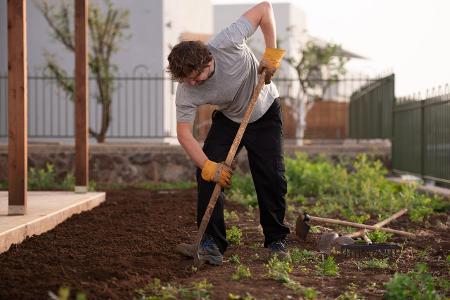 Projekt 2017: So legen Sie Ihren eigenen Gemüsegarten an