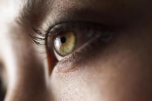 So funktioniert das Auge