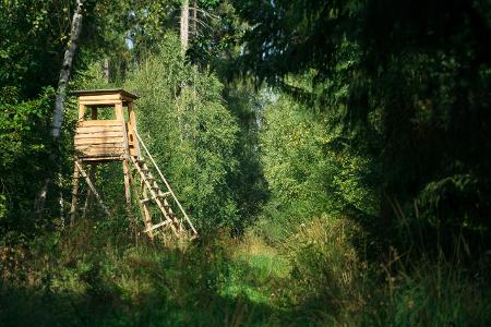 Balkon, Dach und Co.: Sex in luftiger Höhe