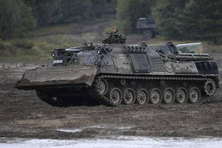 imago Photothek Pinierpanzer Dachs.jpg