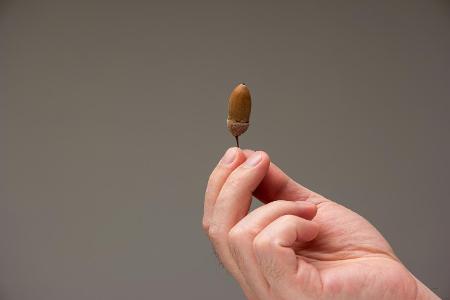 Diese Penis-Probleme sollten Sie nicht unterschtzen