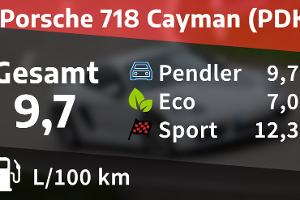 Kosten und Realverbrauch: Porsche 917 Cayman (PDK) 
