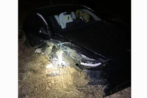 Behörde untersucht Versagen von Autopilot