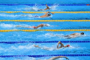 Schwimm-WM: Salchow fällt wegen Corona aus