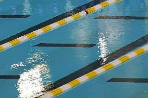 Para-Schwimmerin Scholz gewinnt drittes WM-Gold