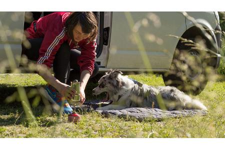Hundezubehör von Tchibo