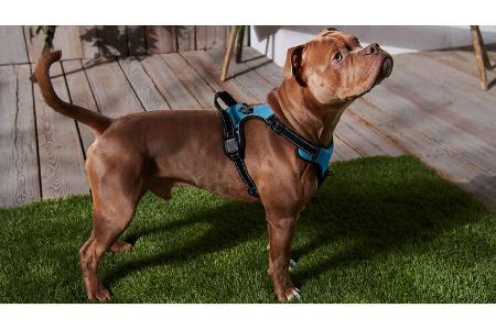 Hundezubehör von Tchibo
