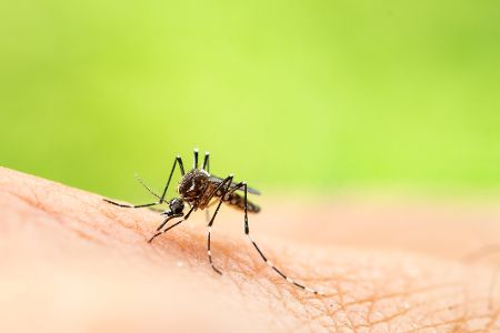 Welche genialen Dinge Sie mit Mundwasser noch anstellen können