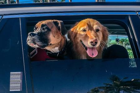 Durchatmen: Die besten Tipps gegen Hitze im Auto