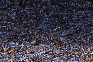 Fan-Vertreter begrüßen Hertha-Wahl und hoffen auf Rückenwind