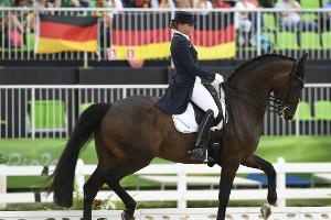 Rückschlag für Dressur-Equipe: Ohne Schneider und Showtime