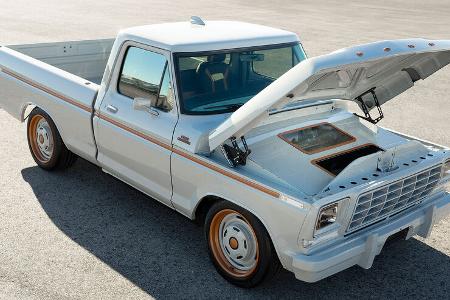 Ford F-100 Eluminator