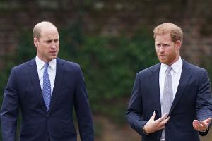 Geburtstag von Lady Di: Emotionale Worte von William und Harry