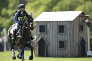 Nach CHIO-Vorfällen: PETA fordert Abschaffung des Reitsports