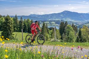 E-Bike oder Pedelec