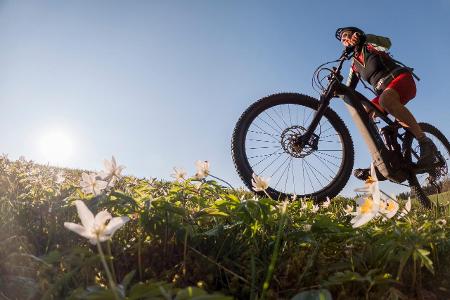 E-Bike Frühjahrscheck E-Bike Frühjahrscheck