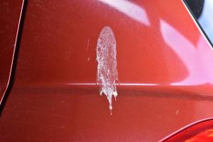 Gewusst wie: Vogelkot vom Auto entfernen, aber richtig!