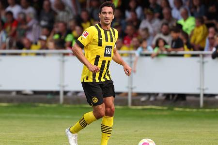 BVB - 84,99 €
