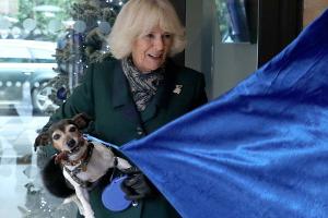Mit süßem Hundefoto: So gratulieren die Royals Herzogin Camilla