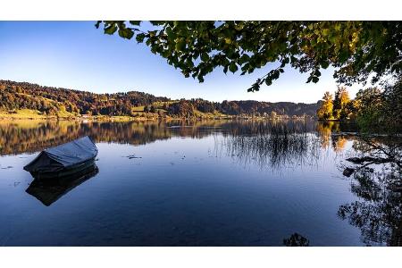 Großer Alpsee