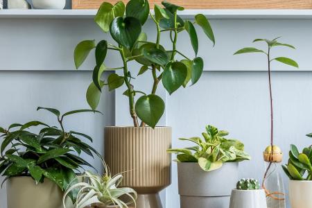 Vor dem Urlaubsstart: Das ist in der Wohnung zu erledigen