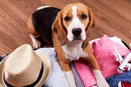 Vor dem Urlaubsstart: Das ist in der Wohnung zu erledigen