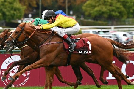 Galopp: Torquator Tasso starker Zweiter in Ascot Galopp: Torquator Tasso starker Zweiter in Ascot