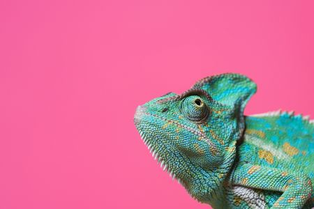 Diese skurrilen Fakten über Eis sollten Sie unbedingt kennen