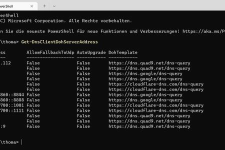 In der Powershell lässt sich prüfen, welche DNS-Server für DNS über HTTPS in Windows 11 genutzt werden können