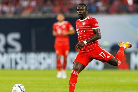 Mane: Mane: