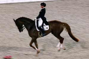Dressur-WM: Deutsche Pferde bestehen den Vet-Check