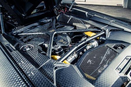 Mansory-Lamborghini Aventator Carbonada, Motor