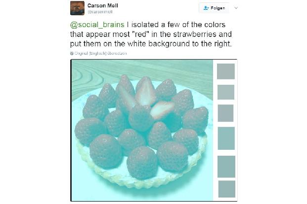 erdbeeren2.PNG