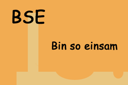 BSE - Bin so einsam