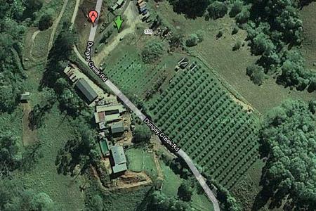 dschungelcamp
