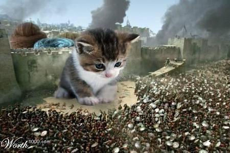 Photoshop 13