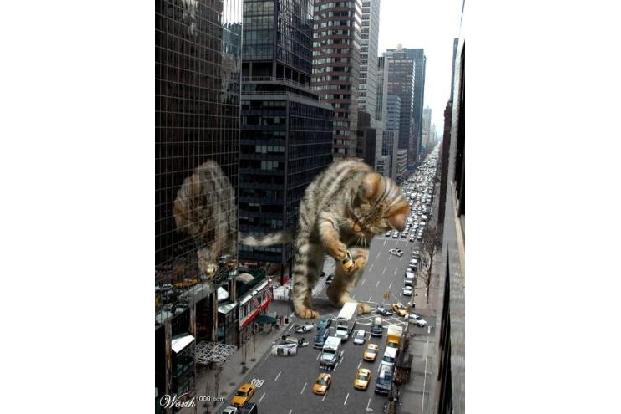 Photoshop 14