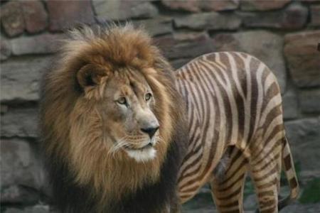 Photoshop 31
