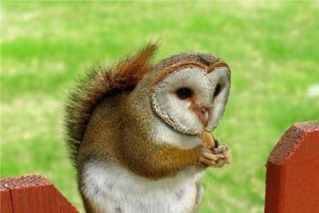 Photoshop 33
