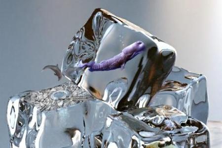 Photoshop 40