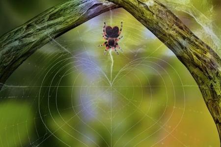 Über 70 unglaubliche Photoshop-Werke