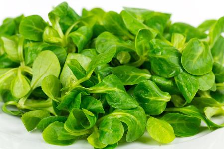 Feldsalat gilt als eine der nährstoffreichsten Salatsorten