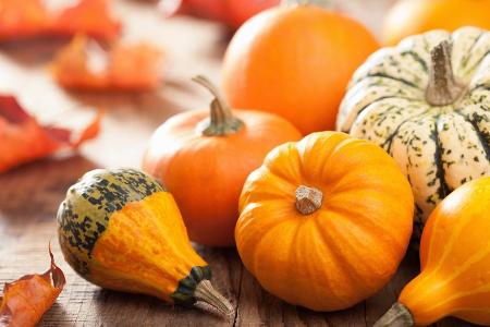 Der Kürbis darf auf dem herbstlichen Speiseplan natürlich nicht fehlen