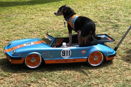 Porsche-Modell 911 Targa mit Hund