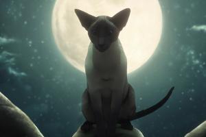 "The Sandman": Netflix überrascht mit einer Bonusfolge
