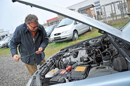 Nissan Maxima 3.0 V6, Motorhaube, Alf Cremers