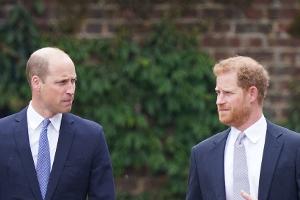 William und Harry sollen Todestag von Diana getrennt verbringen
