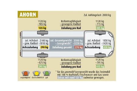 Ahorn